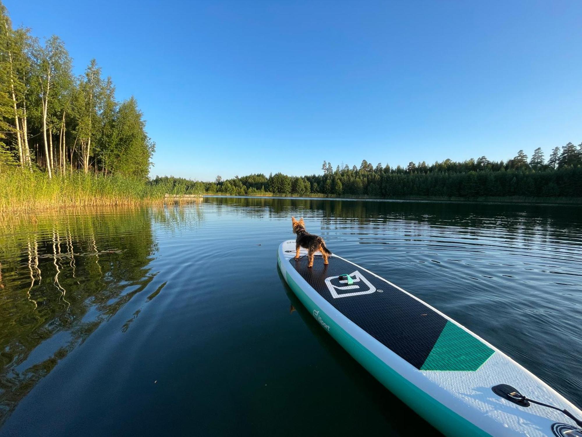 New Paradise * Porvoo